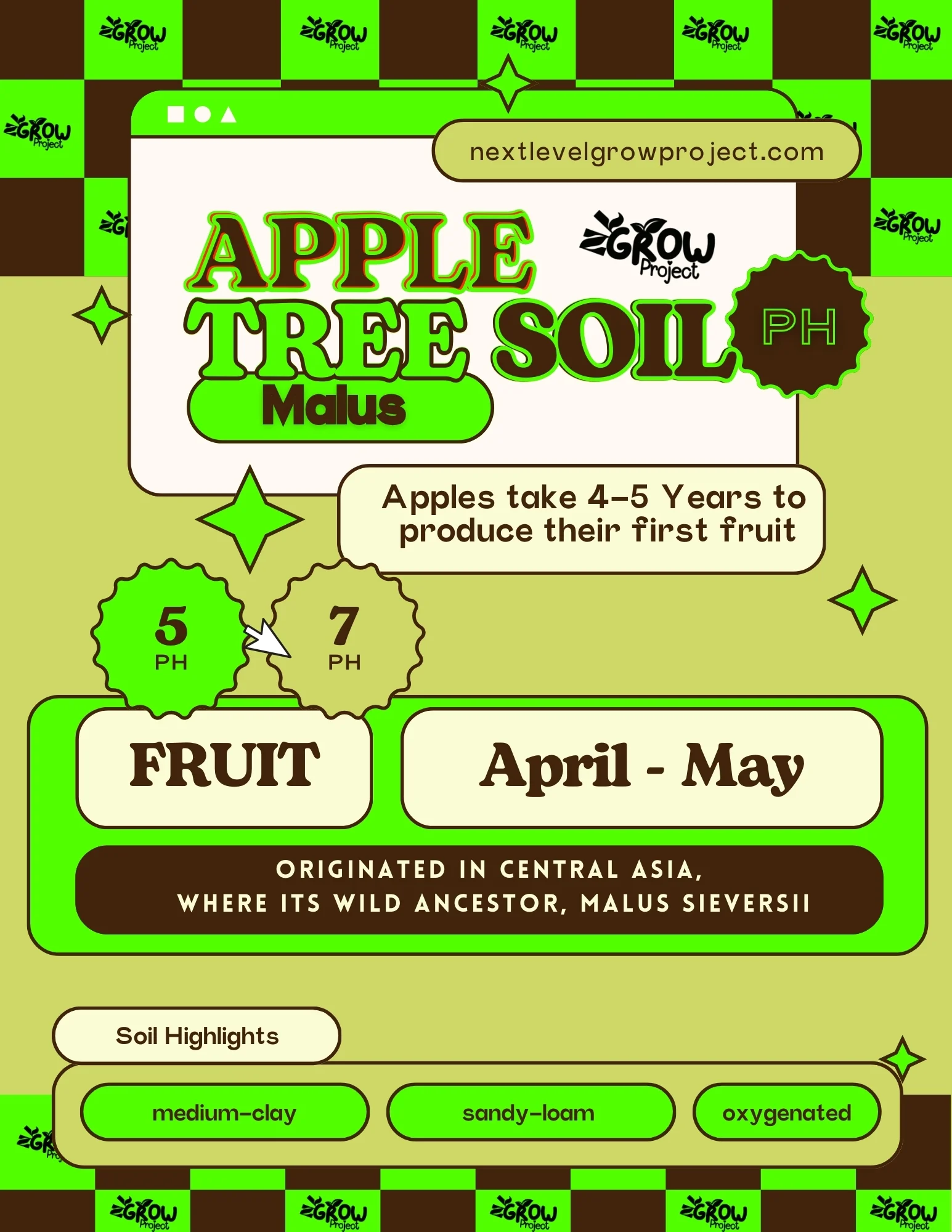 NEXT LEVEL GROW PROJET NLGP NLGRAPHING